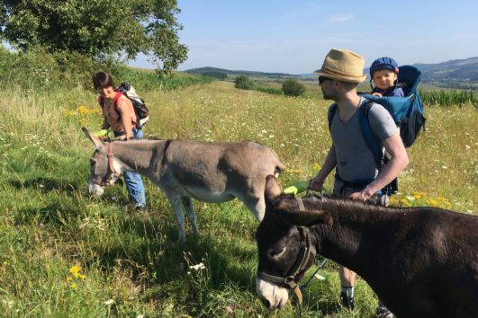 Eselwanderung in Cund