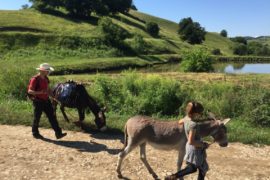 Familienerlebnis Eselfarm