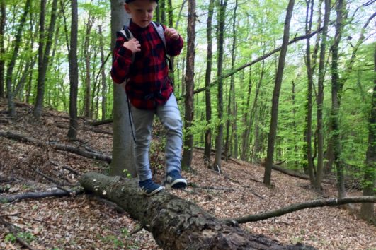 Vater-Sohn Erlebniscamp